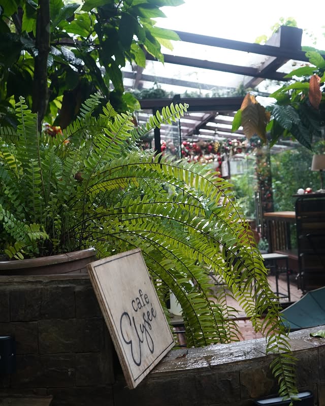 Cafe Elysee Garden View